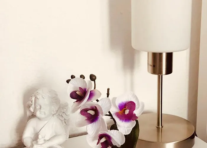 Apartment Gemütliches Mit Balkon In Zentraler Lage Kassel